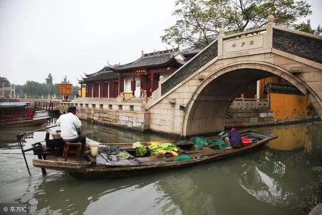 沙皮狗逃离